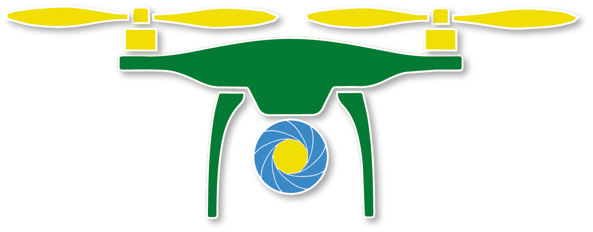 Logo de DRONELANDES télépilote pilote de drone photographe photo vidéaste vidéo dans les Landes