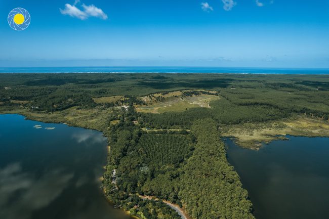 La forêt landaise avec des étangs sur les côtés vus d'un drone à Seignosse dans les Landes