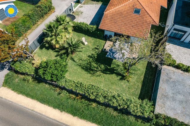 jardin-paysager-palmiers-drone