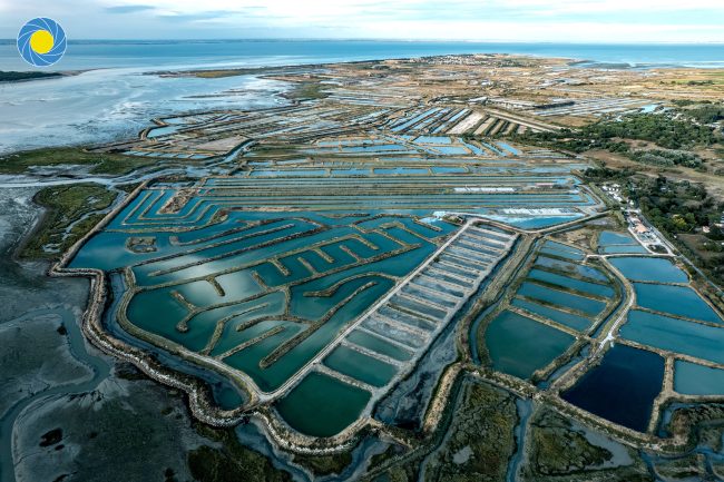 Ars sur l'Ile de Ré et ses marais salants vus d'un drone