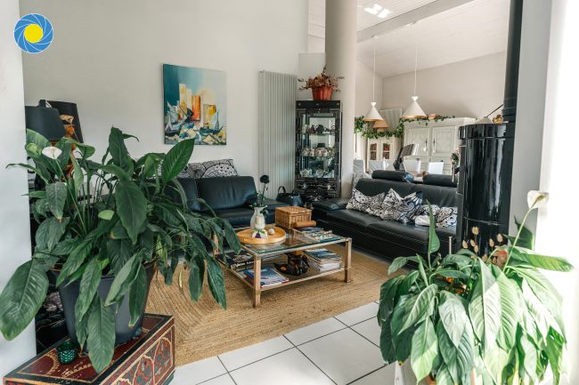 villa-salon-immobilier-plantes